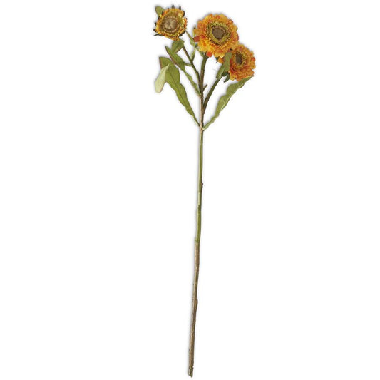 Orange Zinnia Stem